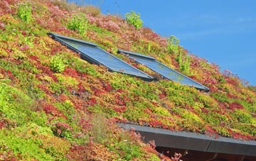 Stanners Hill living roof systems